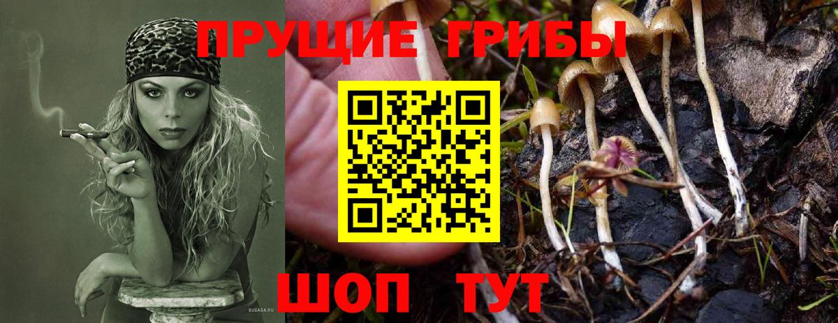 Галлюциногенные грибы Cubensis Тольятти